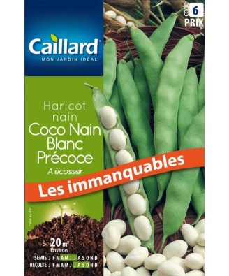 Haricot nain "a ecosser coco blanc precoce”
