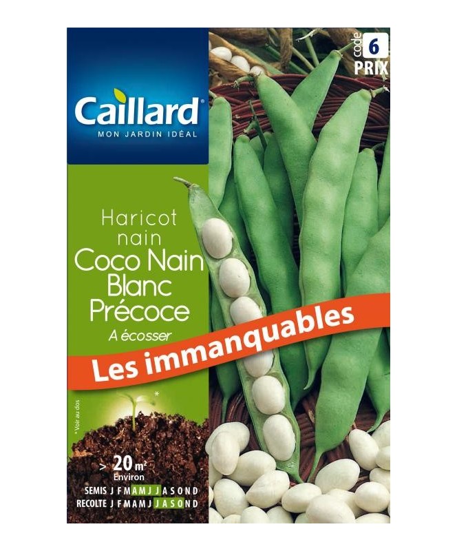 Haricot nain "a ecosser coco blanc precoce”