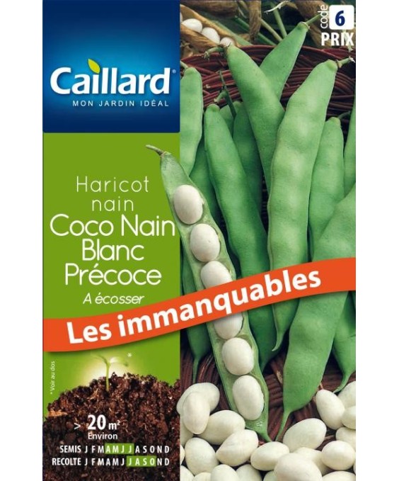 Haricot nain "a ecosser coco blanc precoce”