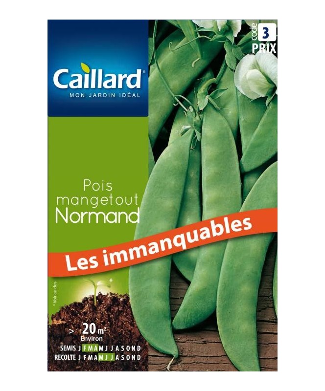 Pois mangetout "normand”