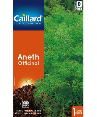 Aneth "officinal”