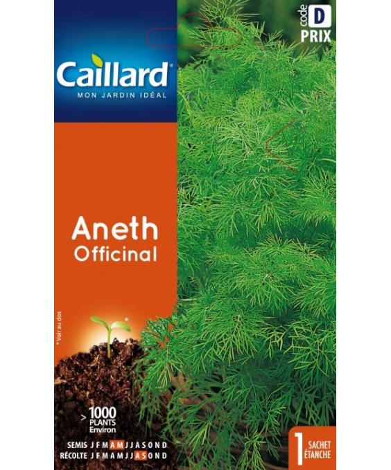 Aneth "officinal”