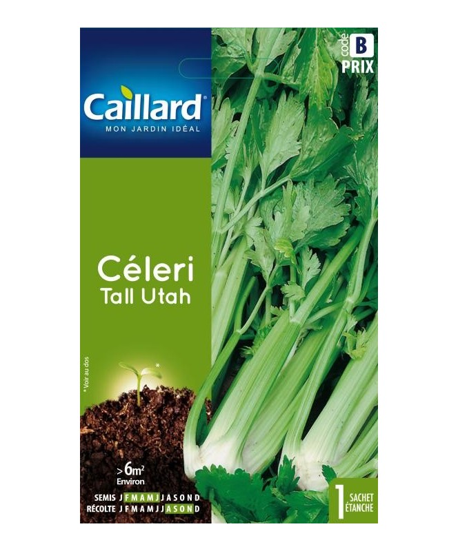Celeri "tall utah” Celeri "tall utah”