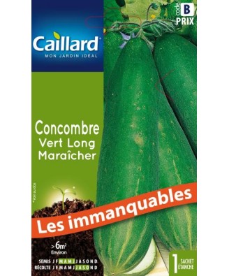 Concombre "vert long maraicher”