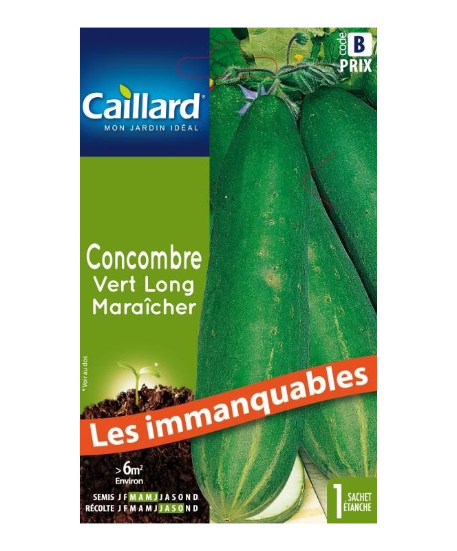 Concombre "vert long maraicher”