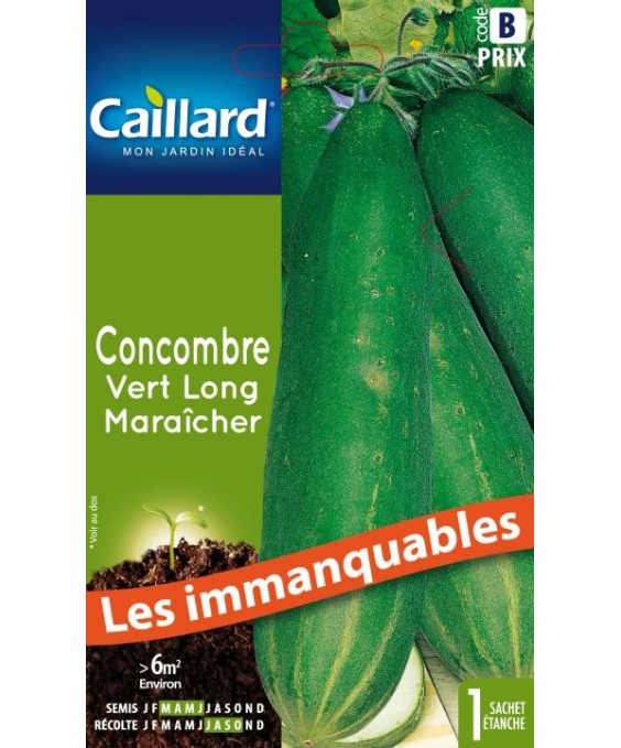 Concombre "vert long maraicher”