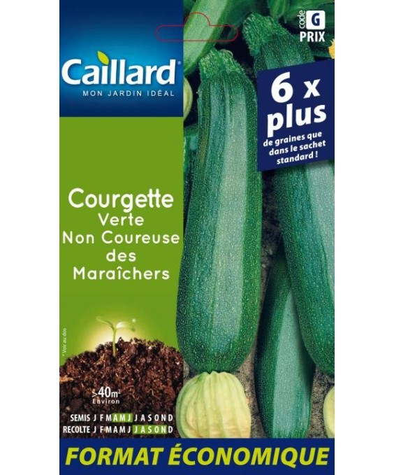 10 Graines De Courgette Verte Non Hybride - Variété Coureuse, Productive - Facile à Cultiver - Pour Potager