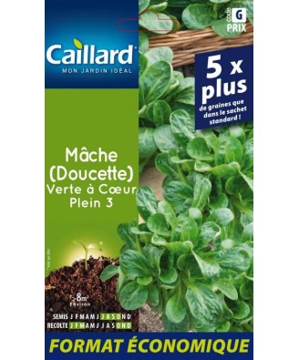Mache (doucette) "verte a coeur plein 3”