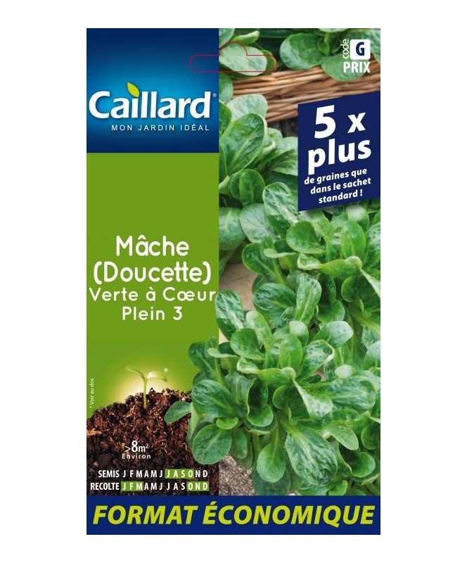 Mache (doucette) "verte a coeur plein 3”