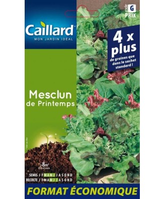 Mesclun "de printemps”