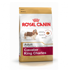 ROYAL CANIN Bhn Cavalier King Charles 1