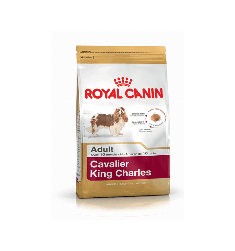 ROYAL CANIN Bhn Cavalier King Charles 1
