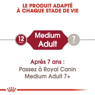 Medium Adult 10Kg