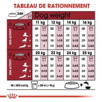 Medium Adult 10Kg