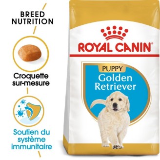 Golden Retriever Puppy 3Kg