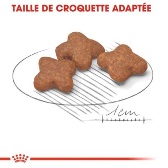Mini Adult 8+ 4Kg