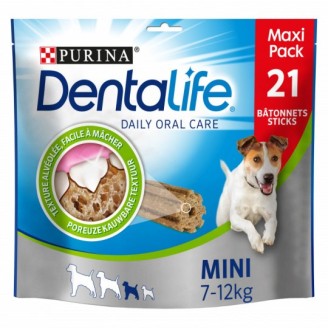 Dentalife Grand Format - Mini