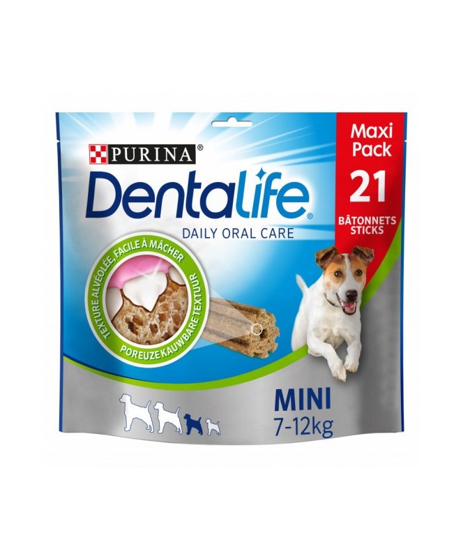 Dentalife Grand Format - Mini