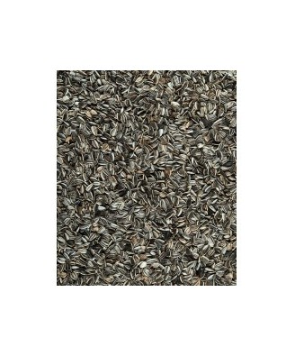 Graine Tournesol Entiere 1,5Kg
