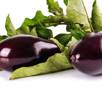 Aubergine P10,5