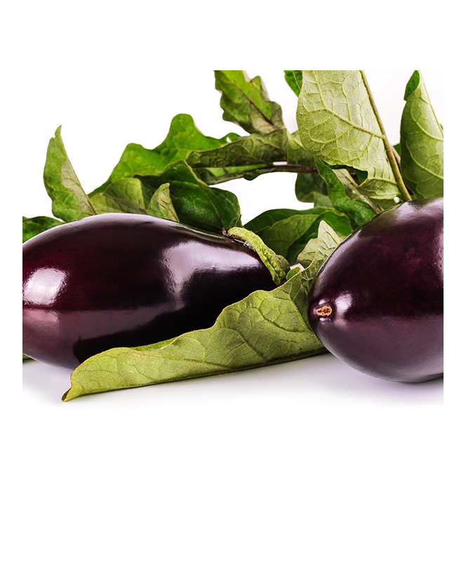 Aubergine P10,5