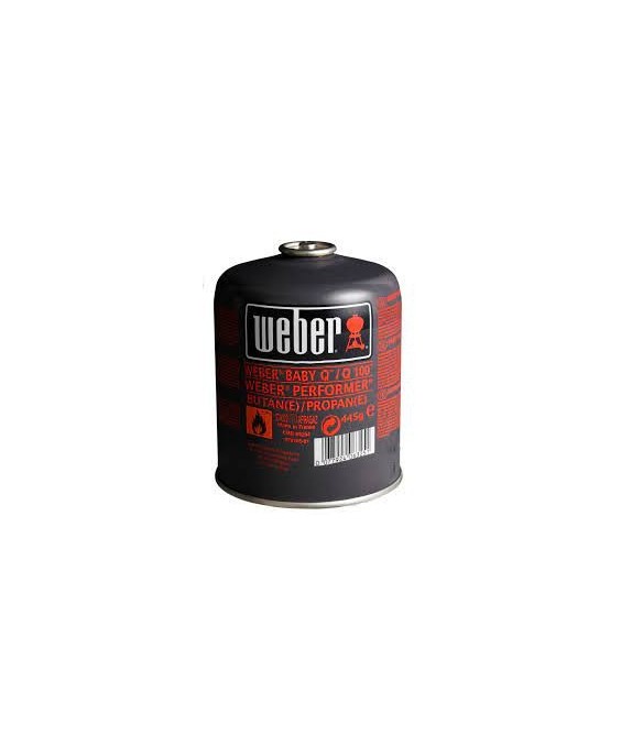 Bouteille Gaz 445G Go Anywhere