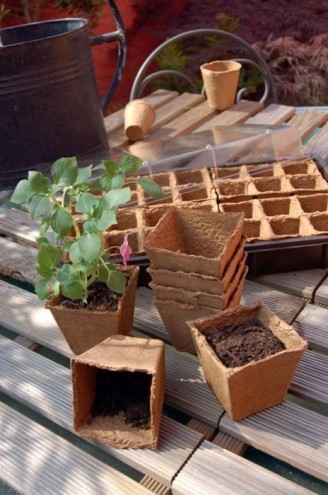 Pot Growing 6X6Cm (36)