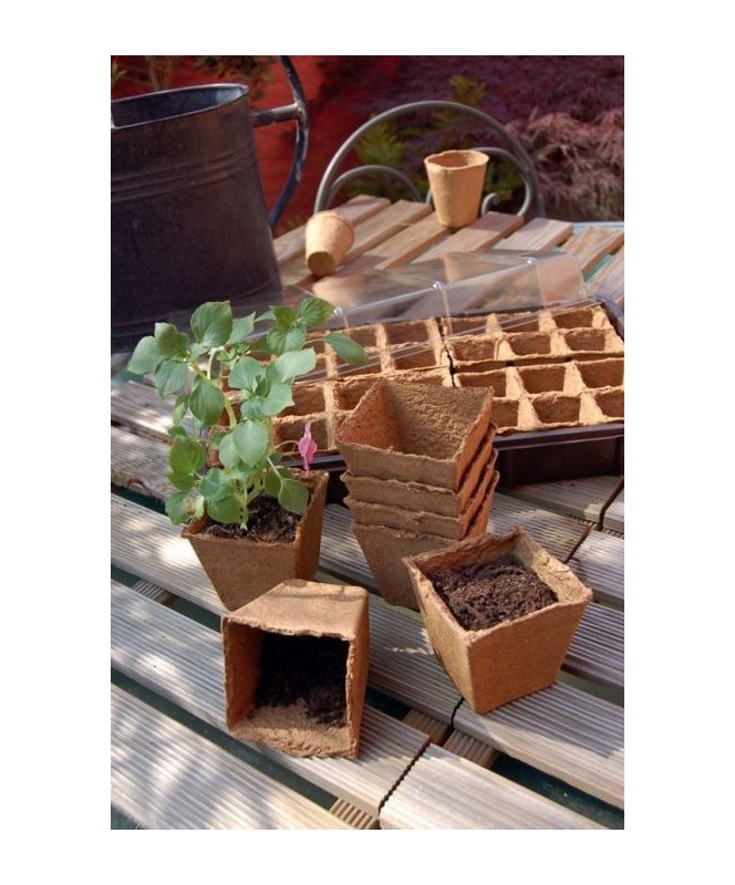 Pot Growing 6X6Cm (36) Pot Growing 6X6Cm (36)