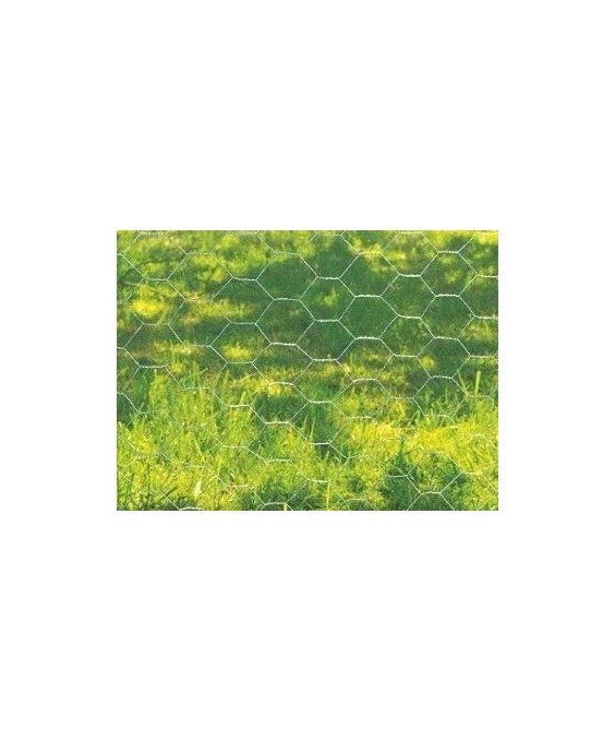 Grillage Galvanex Plastifié 0.50X5M