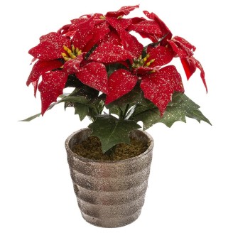 Branchage Poinsettia Paill Pot H22Cm