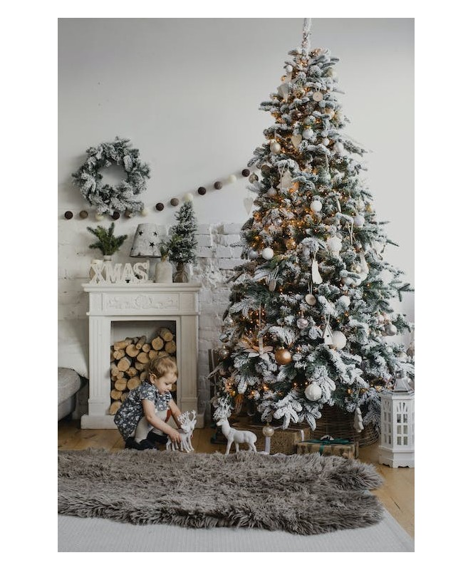 Sapin Yukon H180Cm