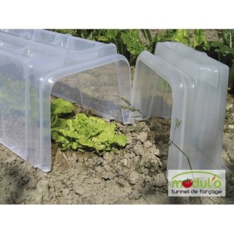 Tunnel de culture Modul'o