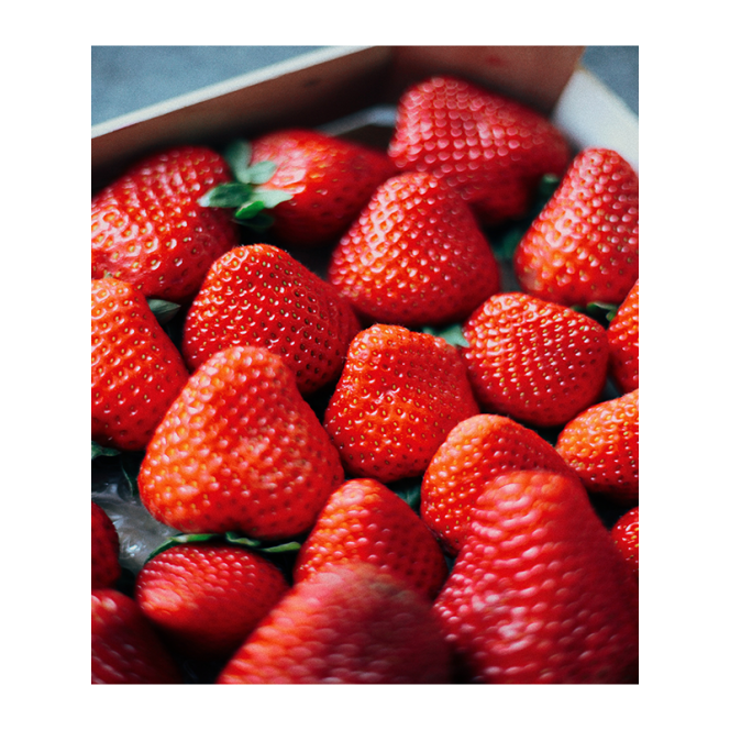 Fraisier Charlotte