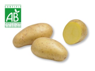 Allians BIO 28/30 25 Plants