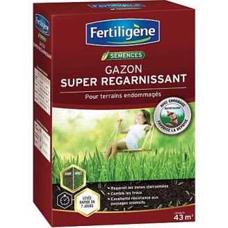 Gazon super regarnissant