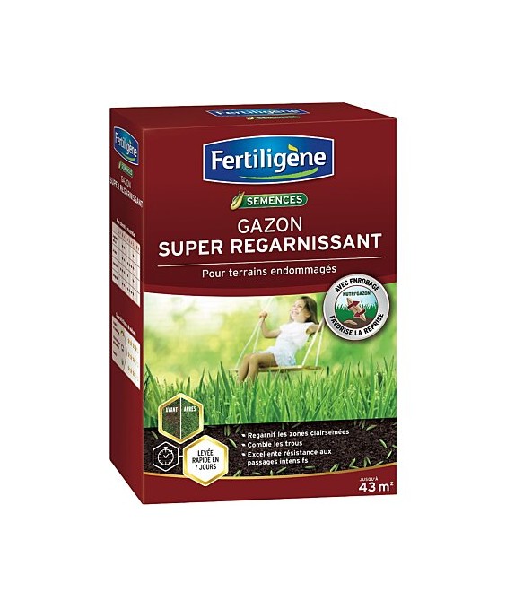 Gazon super regarnissant