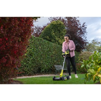 Coupe-bordures 3-en-1 18V ONE+™ -30 cm (1 x 2,0 Ah)