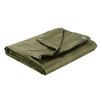 Bâche de Protection Universelle 1,5 × 6 m