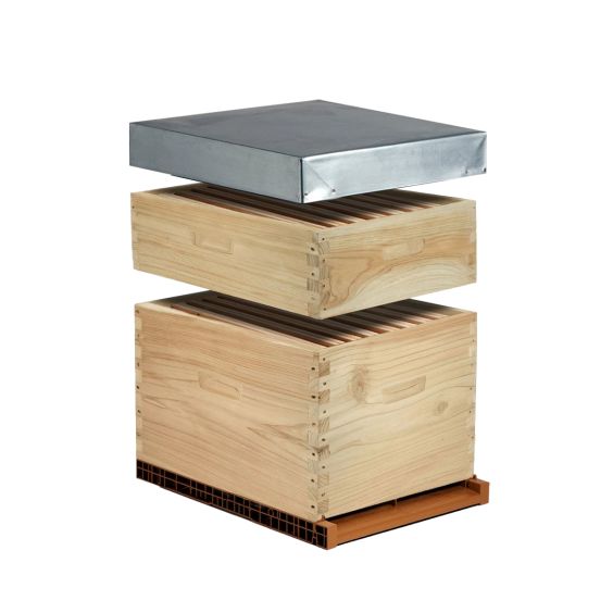 Ruche à tenons complète - 10 cadres