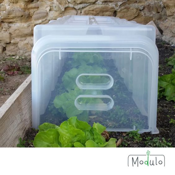 Embout de Tunnel Modulo 40