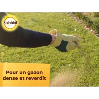 Engrais Gazon Antimousse 14Kg