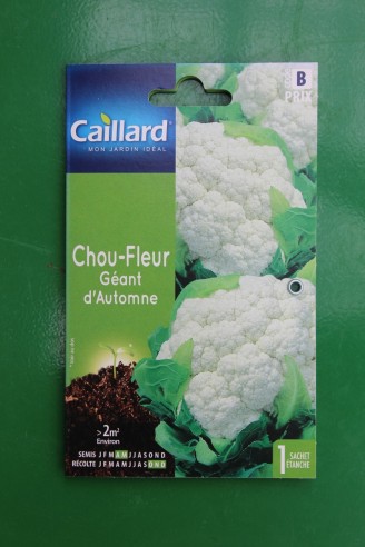 Chou-fleur Géant d’Automne Autumn Giant 4 - Semences - CAILLARD