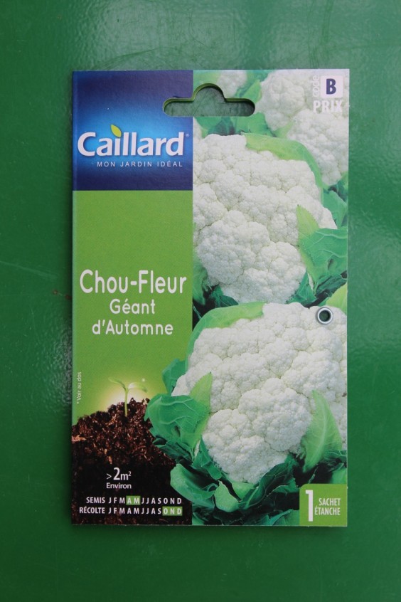 Chou-fleur Géant d’Automne Autumn Giant 4 - Semences - CAILLARD