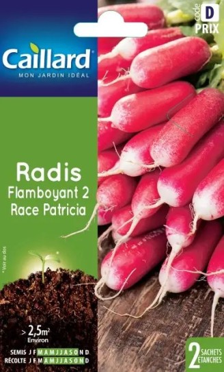 Radis Flamboyant 2 race Patricia - Sachet de graines - Caillard