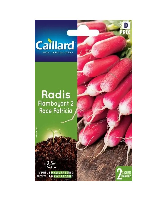 Radis Flamboyant 2 race Patricia - Sachet de graines - Caillard
