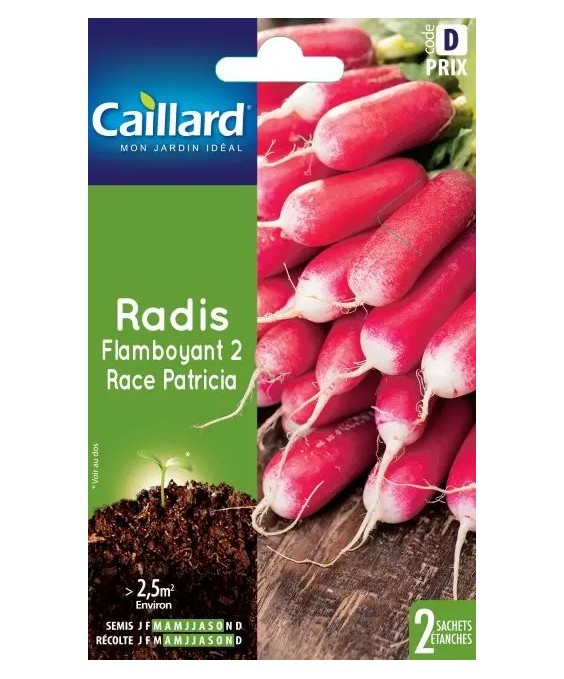 Radis Flamboyant 2 race Patricia - Sachet de graines - Caillard