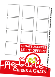 Ma Carte Chiens et Chats Lysadis - illustration Ma Carte Chiens et Chats Lysadis - illustration