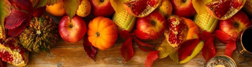 Les activités d'automne Lysadis Les activités d'automne Lysadis