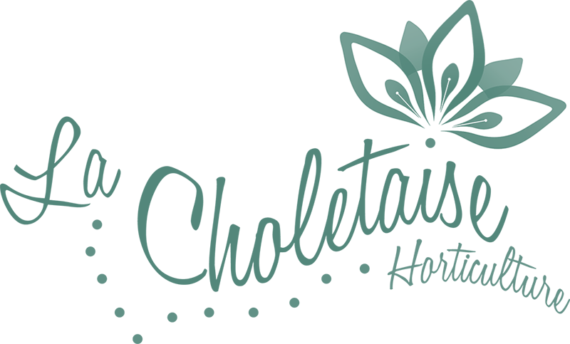 La Choletaise Horticulture